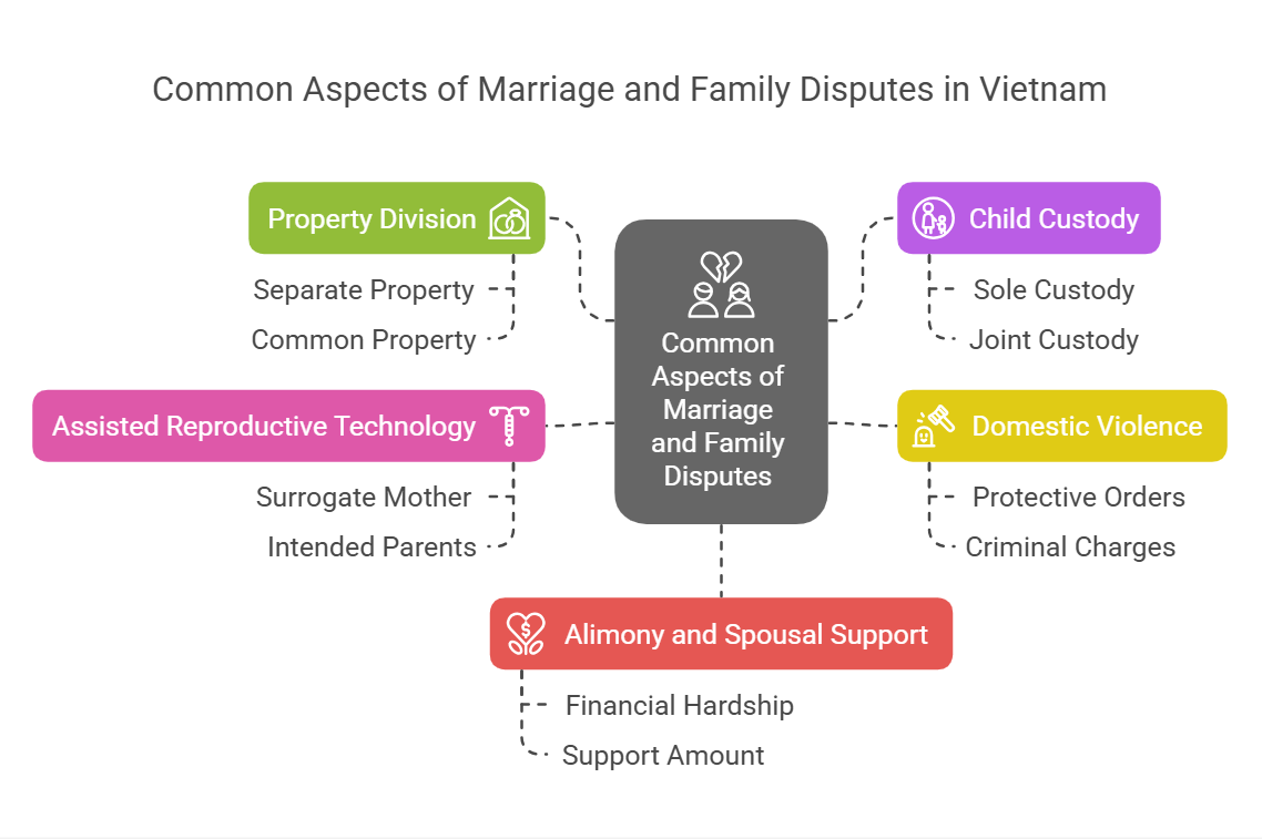 Common Aspects of Marriage and Family Disputes in Vietnam